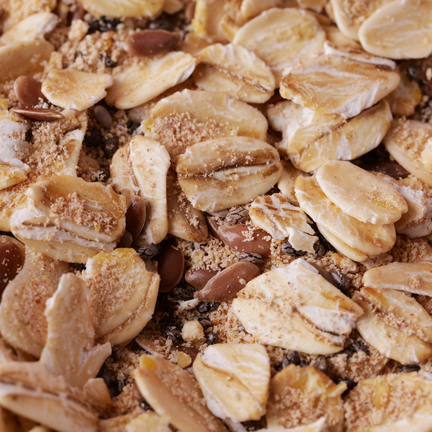 Overnight Gut Oats | Cinnamon Mix